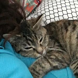 Meet your Posher, Jordyn